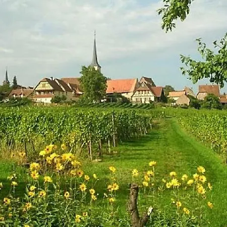 La Petite Maison * Mittelbergheim